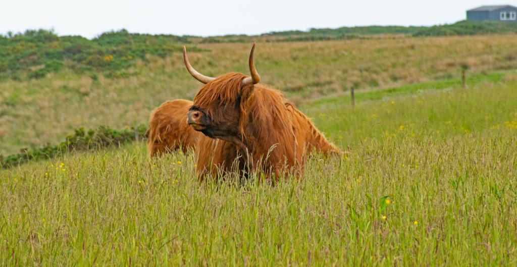 Our Amazing Scotland&nbsp;Roadtrip!